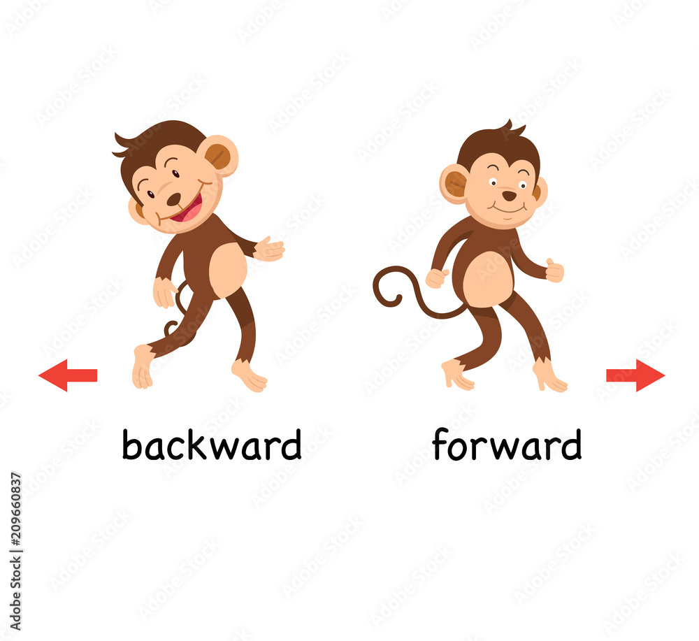 Opposite backward and forward vector illustration