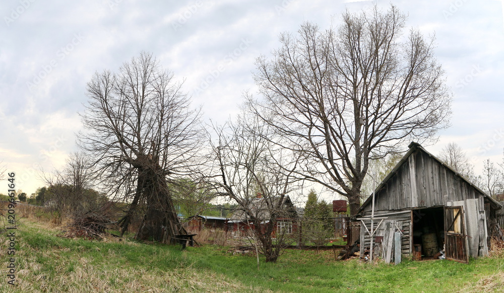 panorama of the countryside in the spring