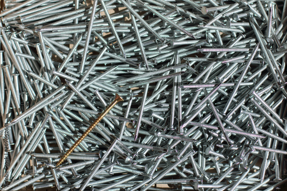 very different from others/ gold curled self-tapping screw in the background of a set of silver nails top view very different from others/ gold curled self-tapping screw in the background of a set of silver nails top view