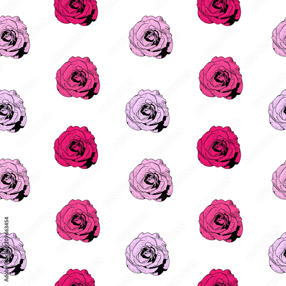 Seamless pattern with pink roses on white background