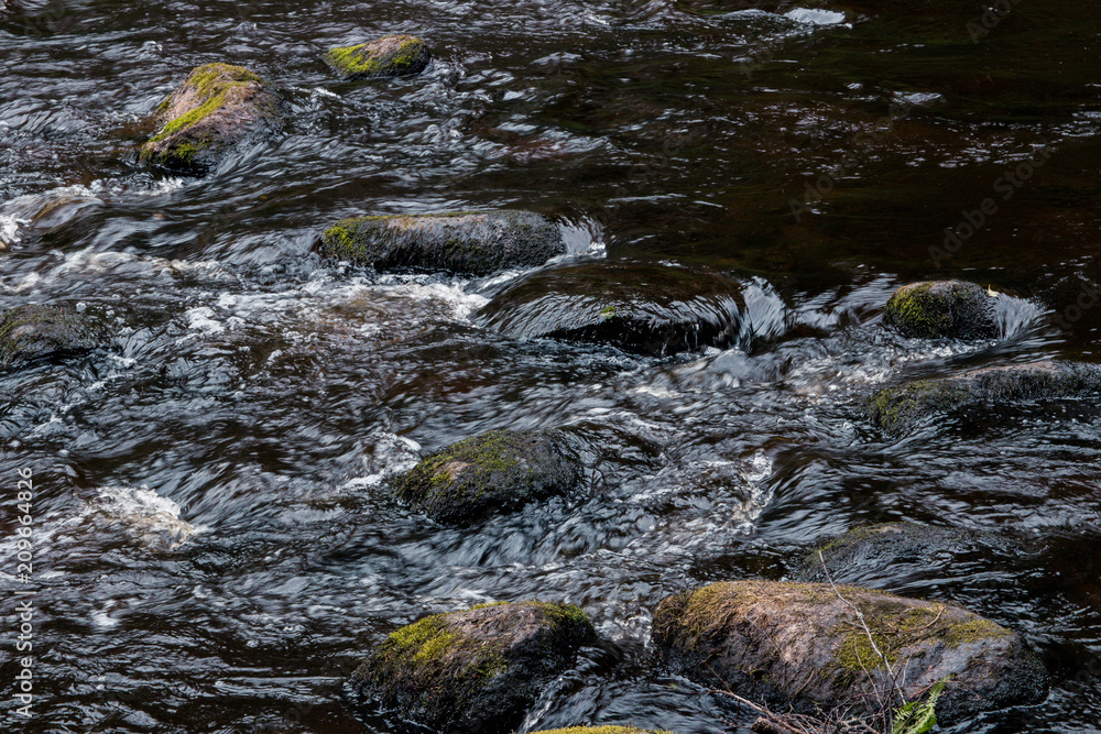 Quiet life by the shore of the forest river Quiet life by the shore of the forest river
