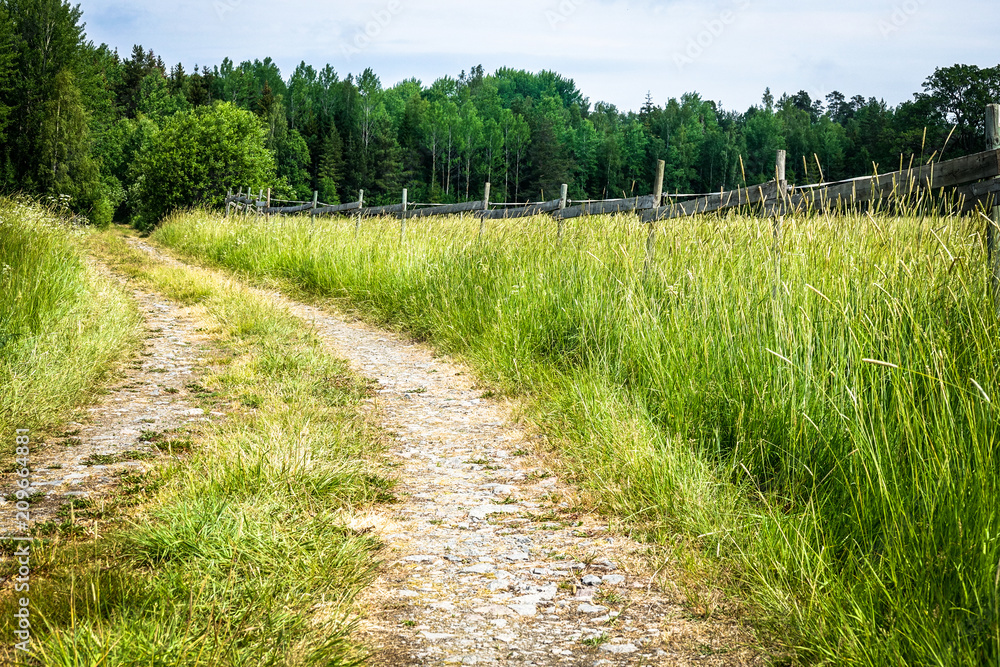Beautiful picture of a curvy forest road that cut through paddocks and meadows with tall grass and wildflowers. Sweden Beautiful picture of a curvy forest road that cut through paddocks and meadows with tall grass and wildflowers. Sweden