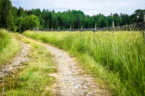 Beautiful picture of a curv...