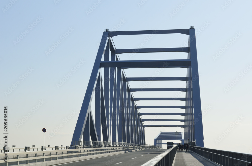 Obraz premium 東京ゲートブリッジ