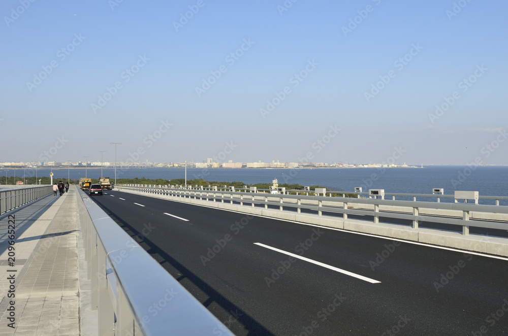 Fototapeta premium 東京ゲートブリッジ