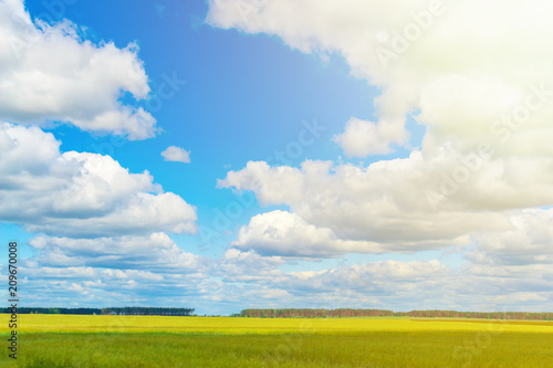 green field and clouds on blue sky in sunny day