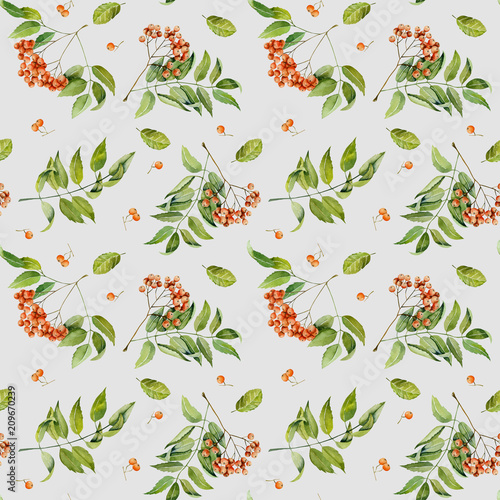 Watercolor rowan branches, berries and leaves seamless pattern, hand painted on a grey background