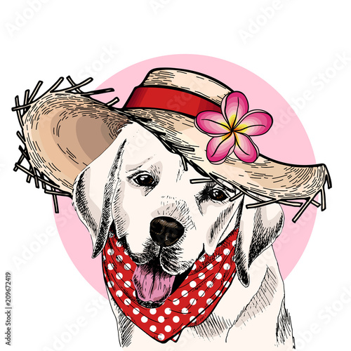 Vector portrait of Labrador retriever dog wearing straw hat, flower and polka dot bandana. Summer fashion illustration. Hand drawn pet portait. Poster, t-shirt print, holiday, postcard, summertime.