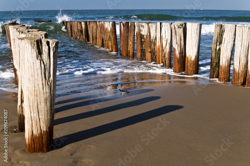 Buhnen, niederländische Nordseeküste photo