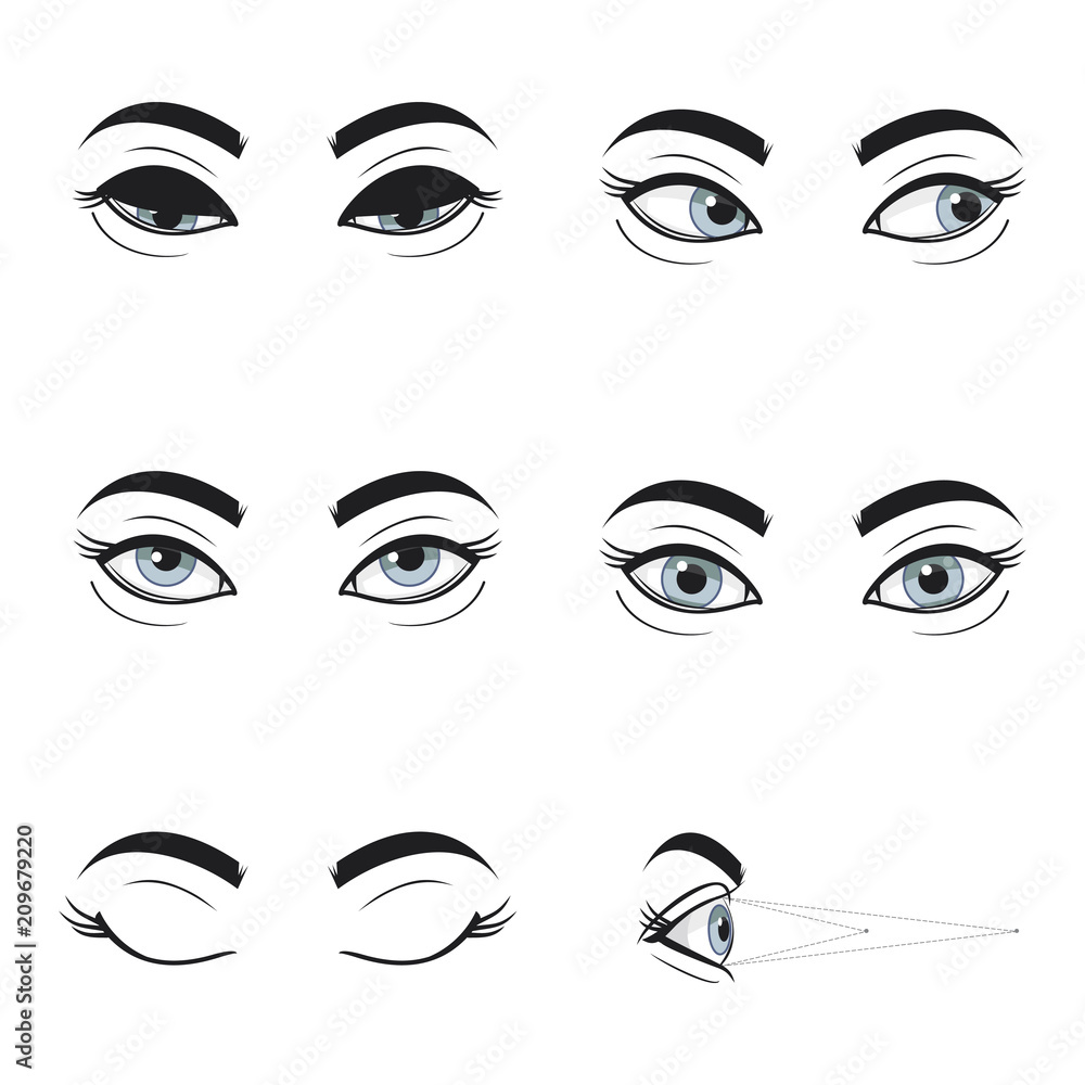 Set collection of blue female eyes and brows on white background. Different cartoon eye expressions. Gymnastics for eyes. Eyes looking up, down , left, right , eyes closed .