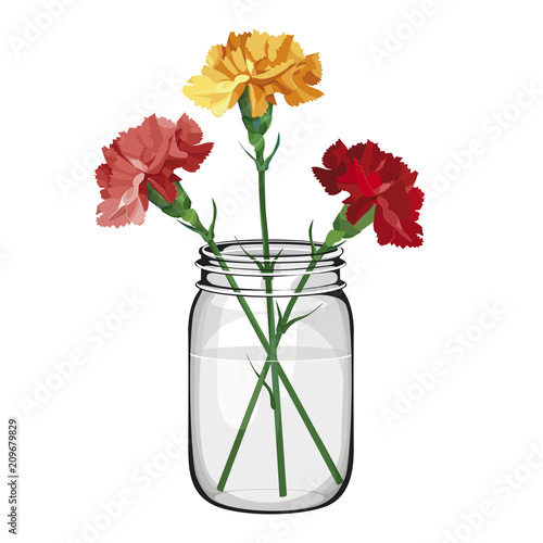 multicolored flowers carnation in bottle in jar.  Yellow, pink and red carnation. Isolated on white. vector illustration. Collection for Mother's Day, victory day