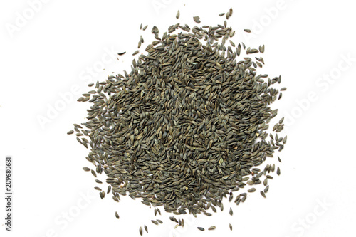 lettuce  seed  background