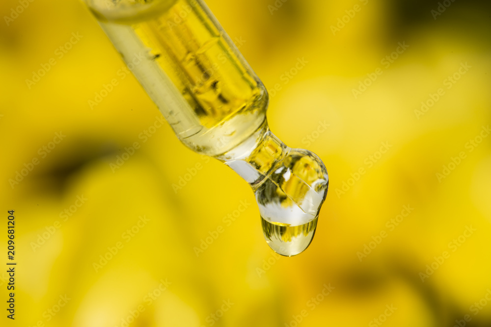 Fototapeta premium extract from Verbascum densiflorum, mullein flower