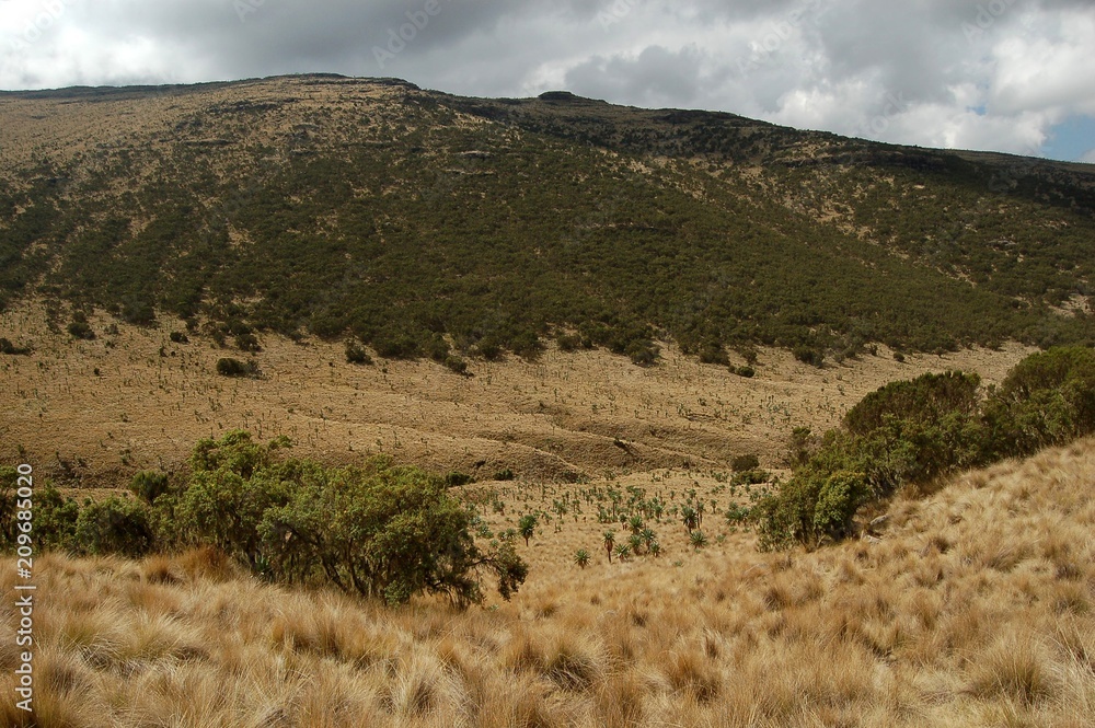 Fototapeta premium Ethiopie - Montagne Siemen