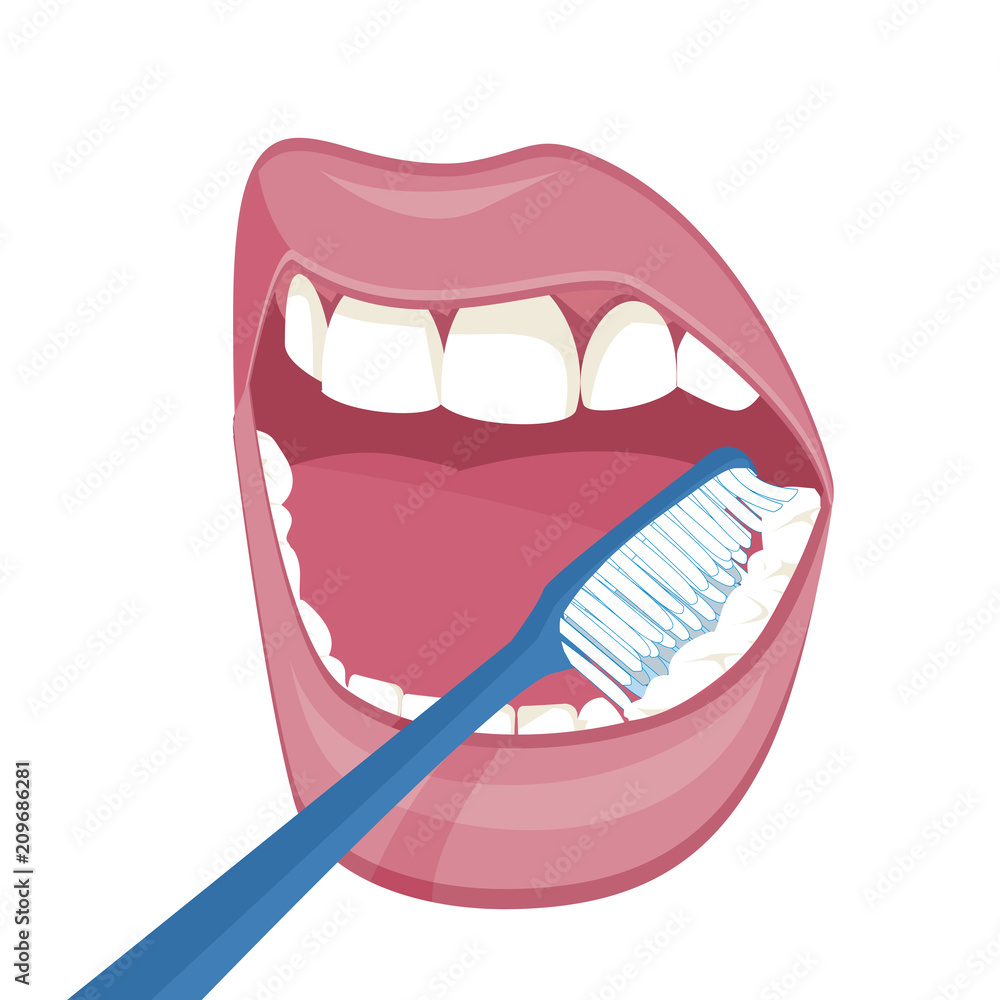 Vector image on a white background. how to brush your teeth rightly with a toothbrush. vector image on a white background. Healthy, white teeth. Open mouth , blue toothbrush. Mouth hy Vector image on a white background. how to brush your teeth rightly with a toothbrush. vector image on a white background. Healthy, white teeth. Open mouth , blue toothbrush. Mouth hy