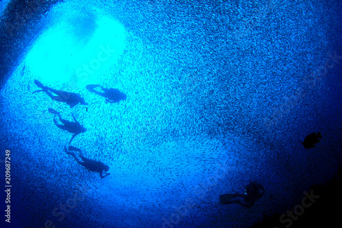 Canvas Print Scuba dive underwater with fish