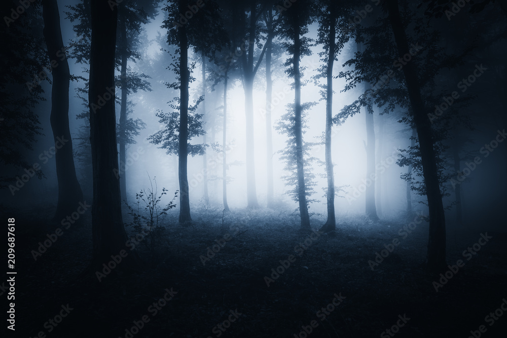 Obraz premium dark scary halloween woods, darkness landscape