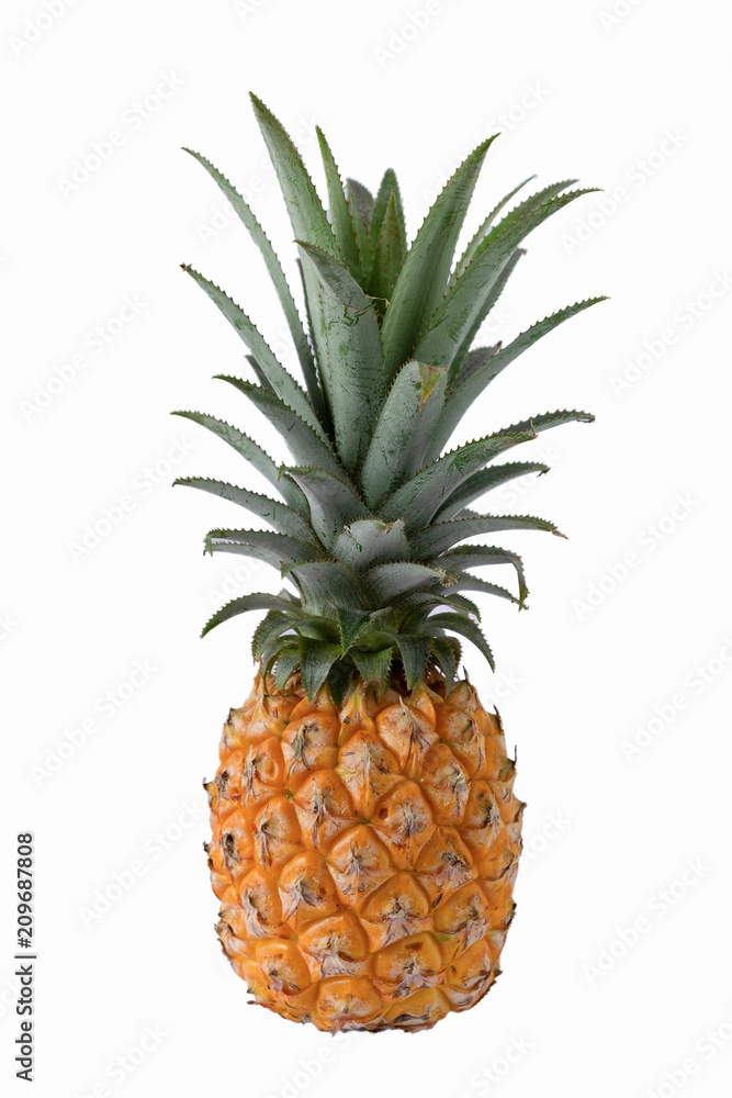 Fresh pineapple isolated on white background. Fresh pineapple isolated on white background.