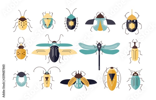 Bundle of different colorful geometric insects with wings and antennas isolated on white background - bugs, beetles, firefly, ladybug, cricket. Cartoon vector illustration in modern flat style.