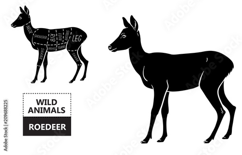Cut of roedeer set. Poster Butcher diagram - roe. Vintage typographic hand-drawn. Vector illustration