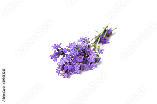 Fototapeta Naklejka Na Ścianę i Meble -  Fresh bunch of lavender flowers on a white background.