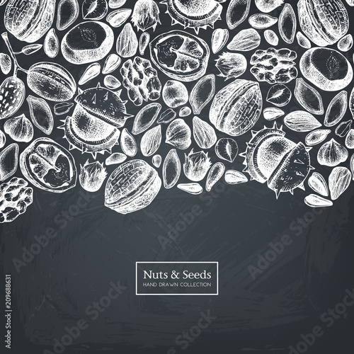 Vector design with hand drawn nuts and seeds sketches. Hazelnut, walnut, pine nut, chestnut, sunflower, flax and pimpkin seeds drawing. Organic food template.