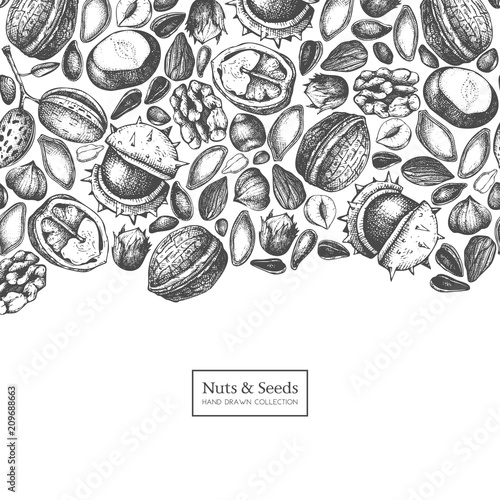 Vector design with hand drawn nuts and seeds sketches. Hazelnut, walnut, pine nut, chestnut, sunflower, flax and pimpkin seeds drawing. Organic food template.