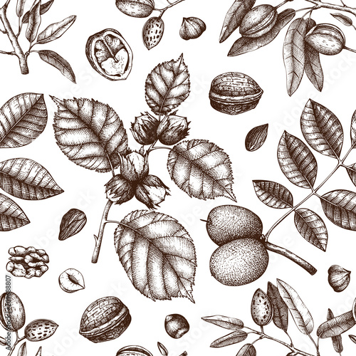 Seamless pattern with hand drawn nuts. Vintage hazelnut, walnut, almond illustrations. Engraved style organic food background.