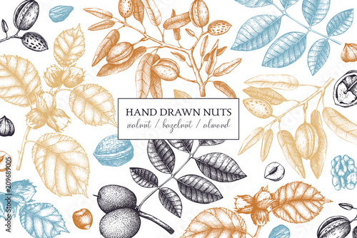 Vector design with hand drawn nuts sketches. Vintage hazelnut, walnut, almond illustrations. Organic food template for menu, packing, branding, card designs on white background.