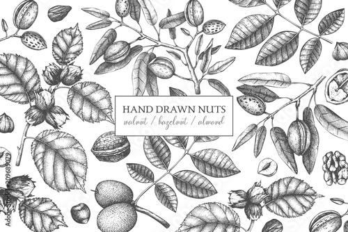 Vector design with hand drawn nuts sketches. Vintage hazelnut, walnut, almond illustrations. Organic food template for menu, packing, branding, card designs on white background.