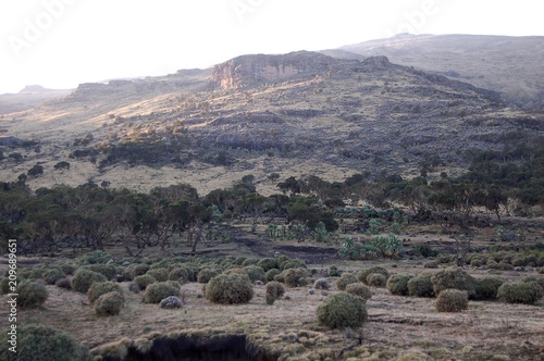 Ethiopie - Montagne Siemen photo