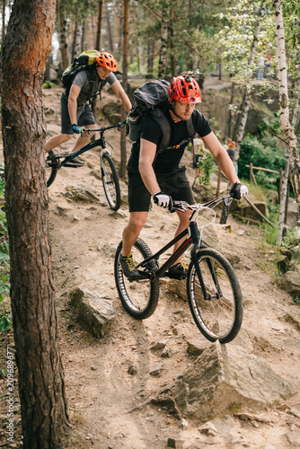 extreme young trial bikers riding downhill on back wheels at beautiful forest