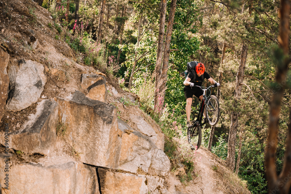trial biker riding downhill outdoors in pine forest