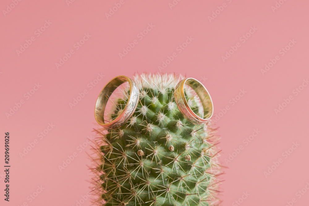 Romantic wedding ring on Cactus and pink background selective focus on Heart inside ring.Love concept. wedding ring on cactus. Long lasting love concept Romantic wedding ring on Cactus and pink background selective focus on Heart inside ring.Love concept. wedding ring on cactus. Long lasting love concept