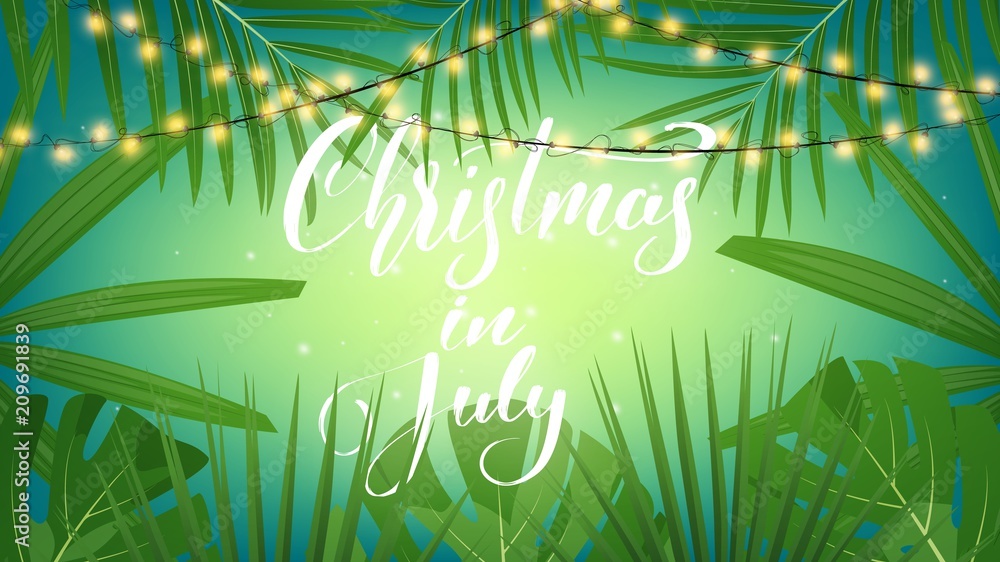 My summer christmas lights