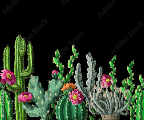 Seamless border with cactus and flowers on dark background. Vector illustration.