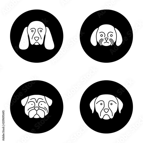 Dogs breeds glyph icons set photo