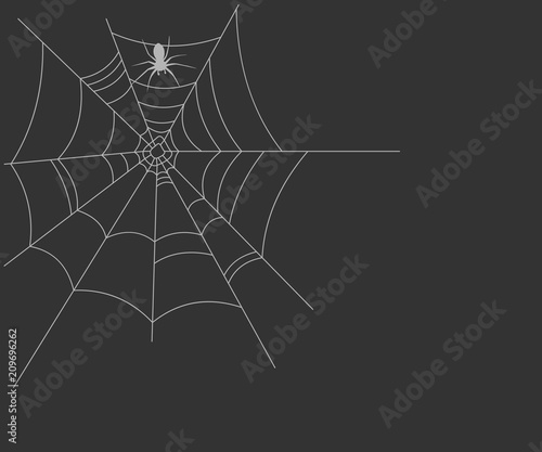 Spider's web vector