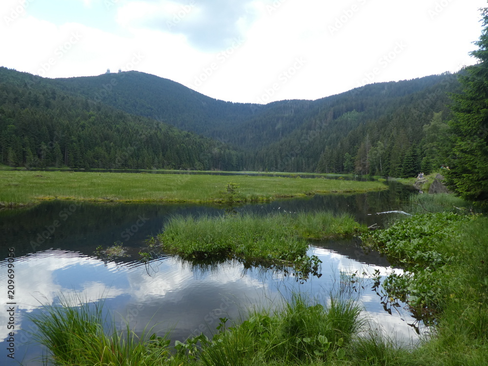 landscape of the bavarian forest mountains lake water