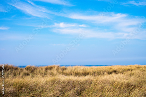 D  nengras und blauer Himmel