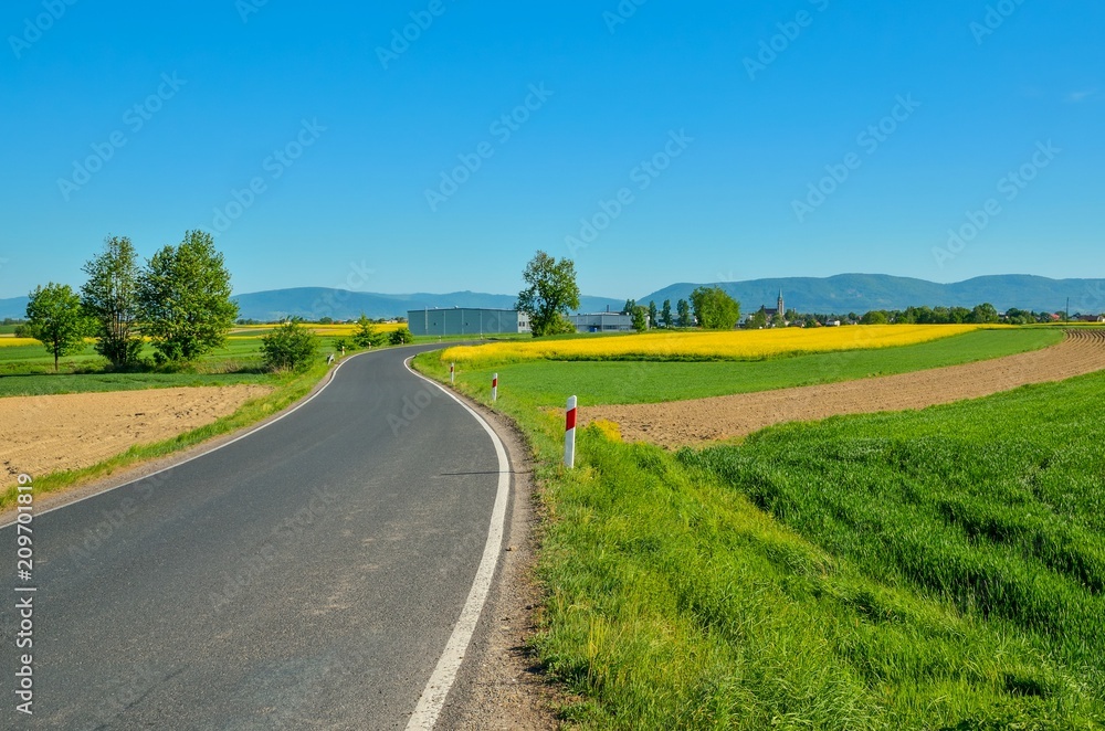Beautiful rural landscape. Asphalt road among fields in the countryside.
