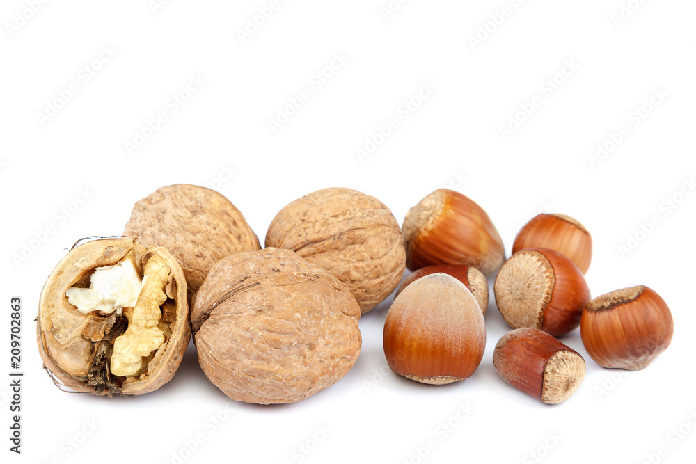 Hazelnuts and walnuts isolated on white background Hazelnuts and walnuts isolated on white background