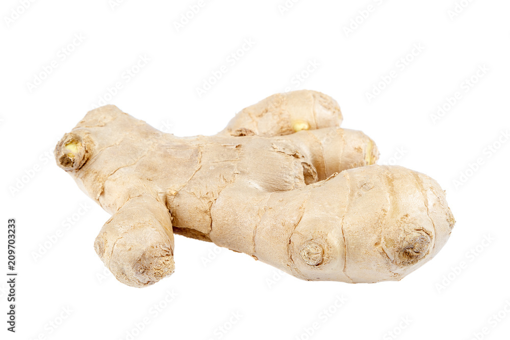 Fresh ginger root fruits on white background.