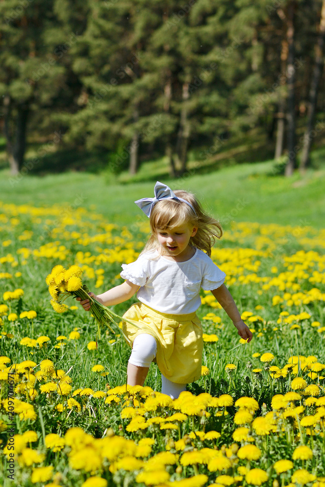 Cute little caucasian girl walking in the park with dandelion flowers, smelling, summer time, sunny day Cute little caucasian girl walking in the park with dandelion flowers, smelling, summer time, sunny day