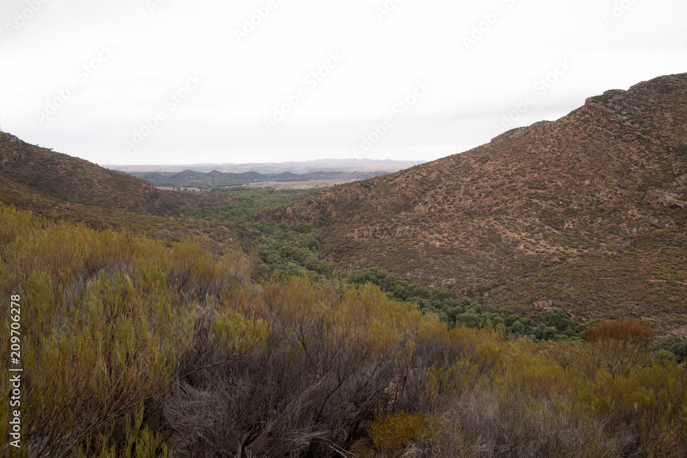 Wilpena pound South Australia, panoramic view of Wilpena creek and gap