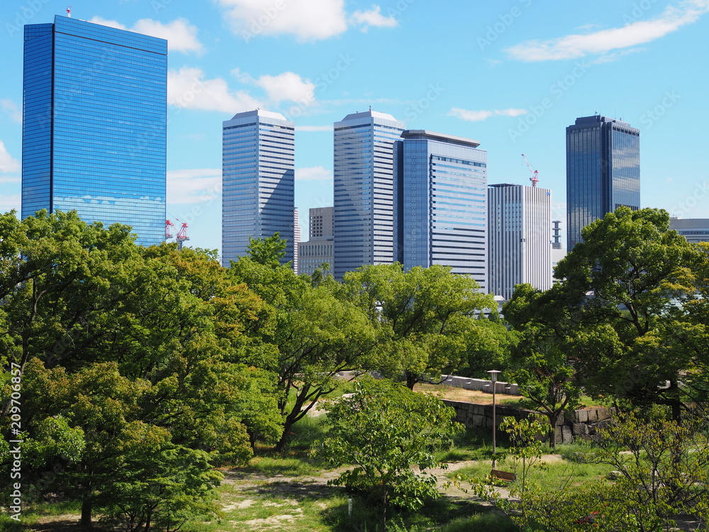 Obraz premium OLYMPUS DIGITAL CAMERA