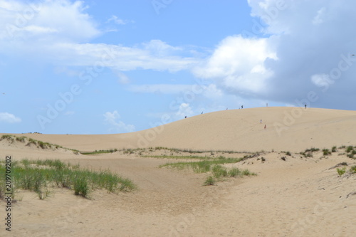 Visitors explore Jockey s Ridge  the highest sand dunes in the United States.