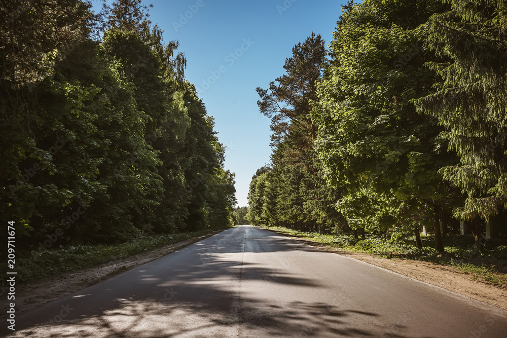 Obraz premium droga przez las