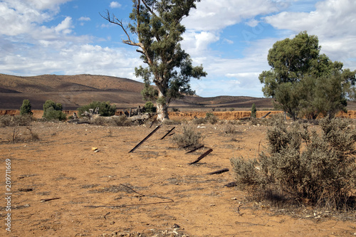 Hawker South Australia, fence in the outback landscape photo