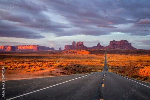 American wild nature